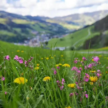 Perfeldhof 公寓 萨尔巴赫
